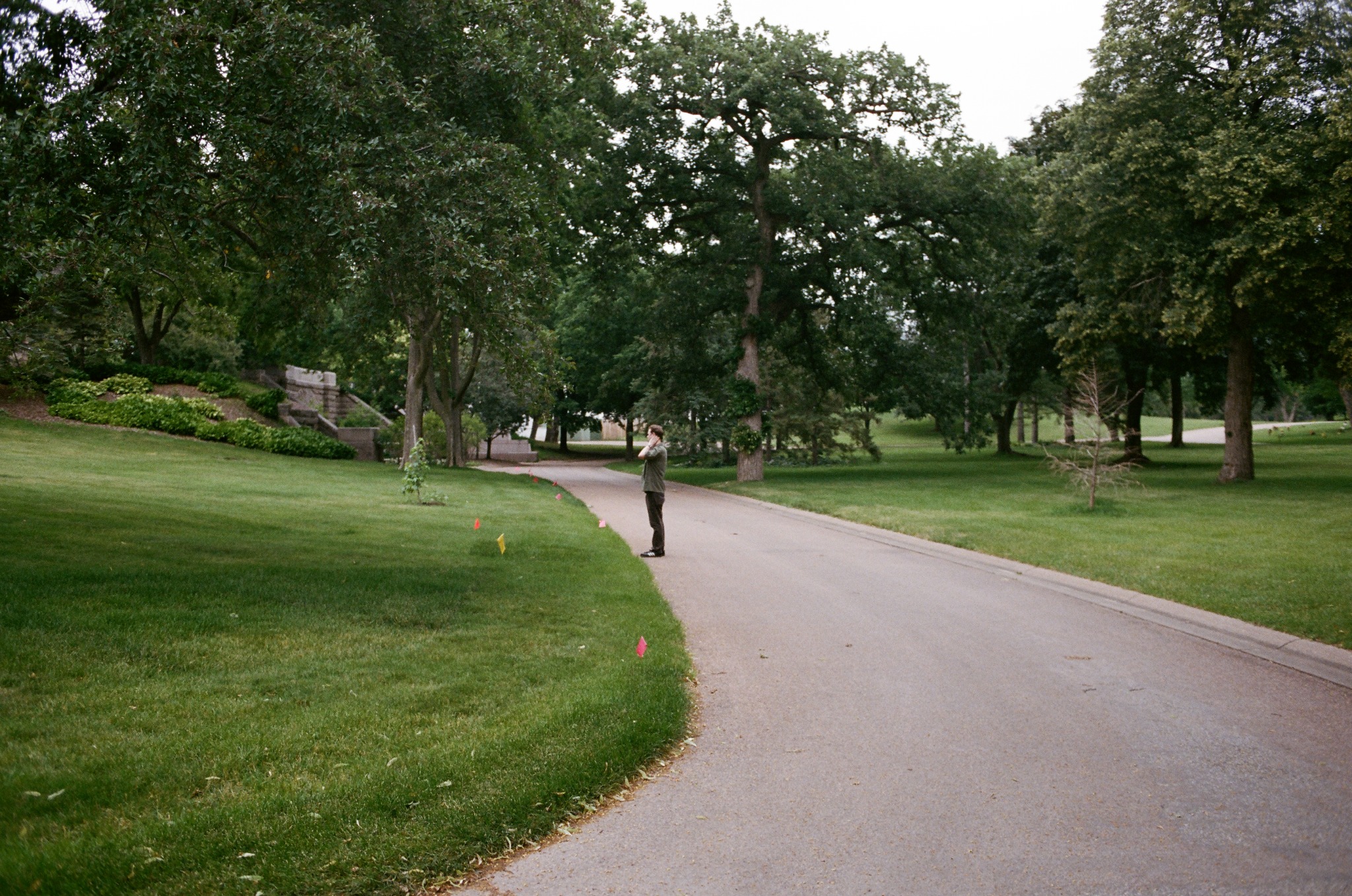 Wide view of the cemetery grounds